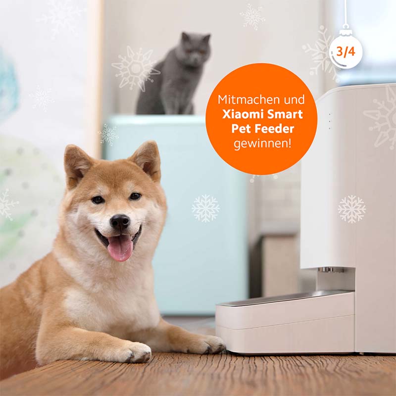 Petfeeder-Xiaomi-X-MasLottery-Feed-web