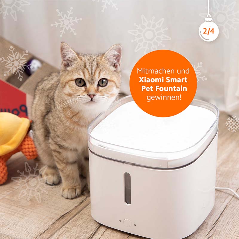 Petfountain-Xiaomi-X-MasLottery-Feed-web